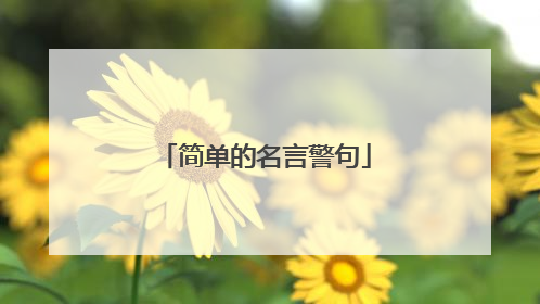简单的名言警句