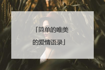 简单的唯美的爱情语录