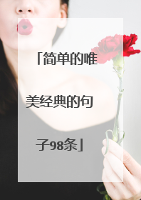 简单的唯美经典的句子98条