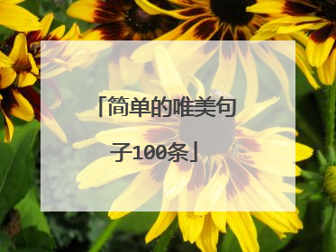 简单的唯美句子100条