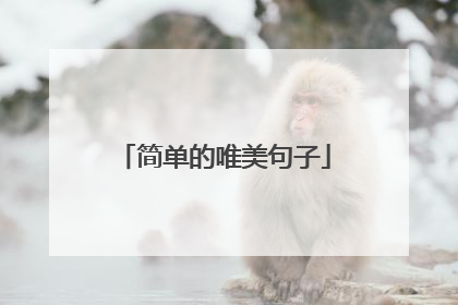简单的唯美句子