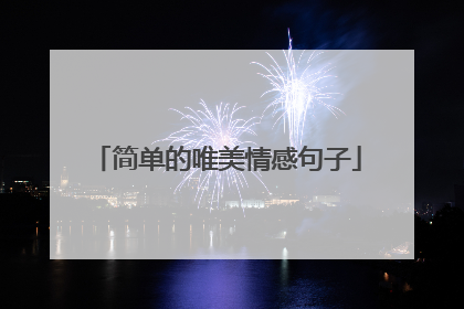 简单的唯美情感句子