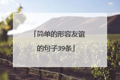 简单的形容友谊的句子39条