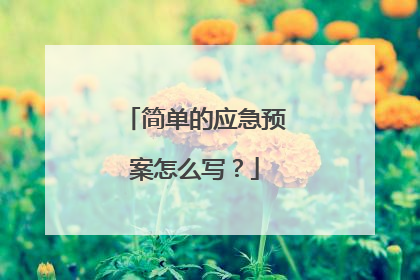 简单的应急预案怎么写？