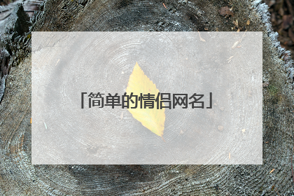 简单的情侣网名