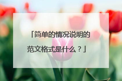简单的情况说明的范文格式是什么？