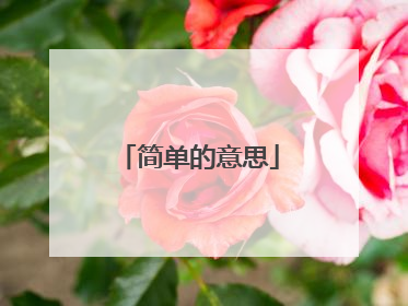 简单的意思