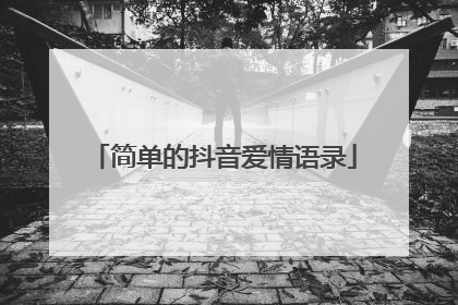 简单的抖音爱情语录