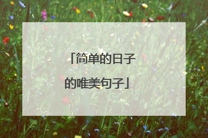 简单的日子的唯美句子