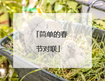 简单的春节对联