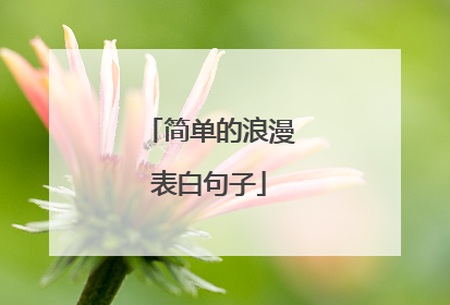 简单的浪漫表白句子