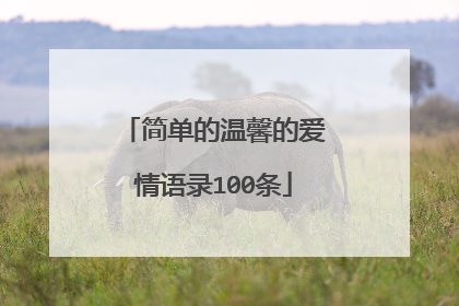 简单的温馨的爱情语录100条