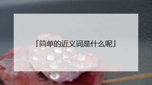 简单的近义词是什么呢