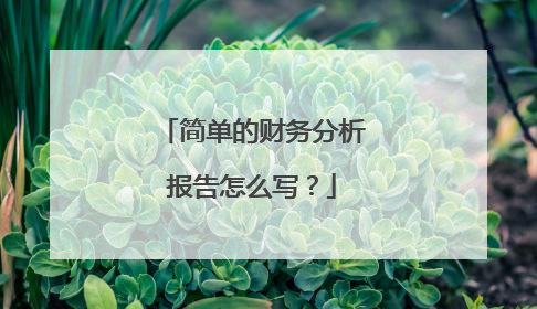 简单的财务分析报告怎么写?