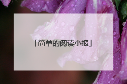 简单的阅读小报
