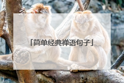简单经典禅语句子