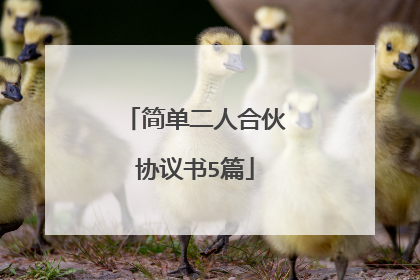 简单二人合伙协议书5篇