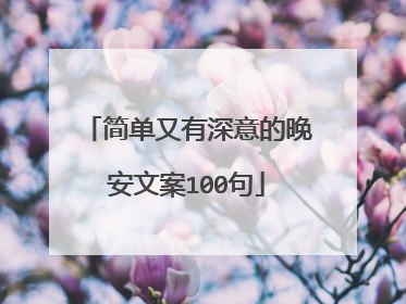 简单又有深意的晚安文案100句