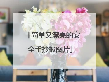 简单又漂亮的安全手抄报图片