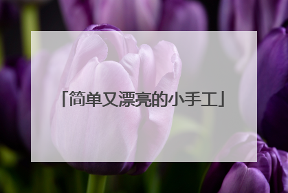 简单又漂亮的小手工