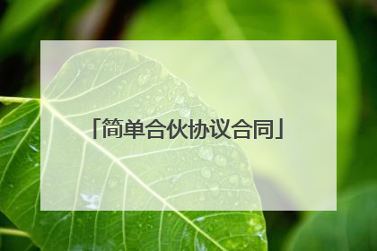 简单合伙协议合同