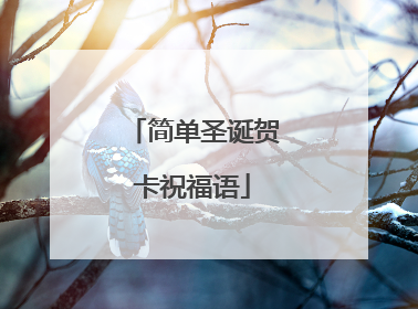 简单圣诞贺卡祝福语
