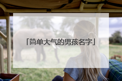 简单大气的男孩名字