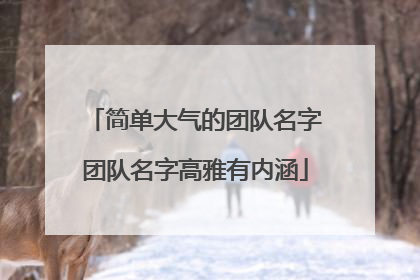 简单大气的团队名字团队名字高雅有内涵