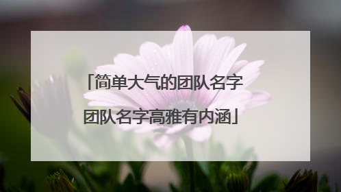 简单大气的团队名字 团队名字高雅有内涵