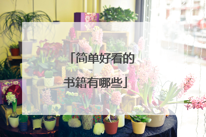 简单好看的书籍有哪些