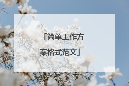 简单工作方案格式范文