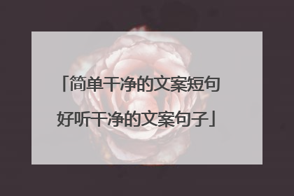 简单干净的文案短句 好听干净的文案句子