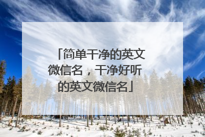 简单干净的英文微信名,干净好听的英文微信名