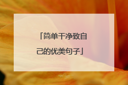 简单干净致自己的优美句子