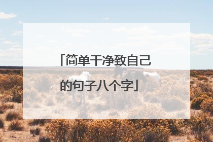 简单干净致自己的句子八个字