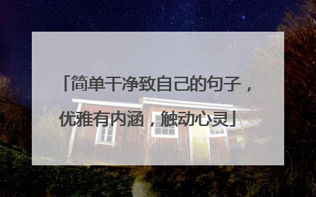 简单干净致自己的句子，优雅有内涵，触动心灵