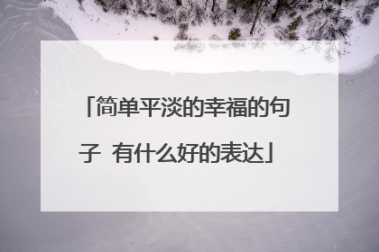 简单平淡的幸福的句子 有什么好的表达