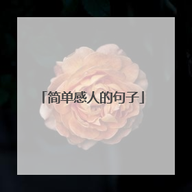 简单感人的句子