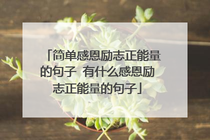 简单感恩励志正能量的句子 有什么感恩励志正能量的句子