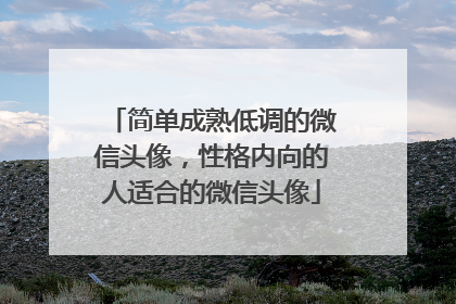简单成熟低调的微信头像,性格内向的人适合的微信头像