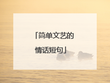 简单文艺的情话短句