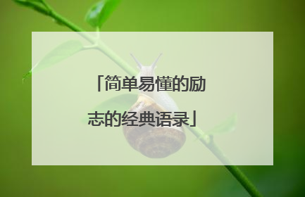 简单易懂的励志的经典语录