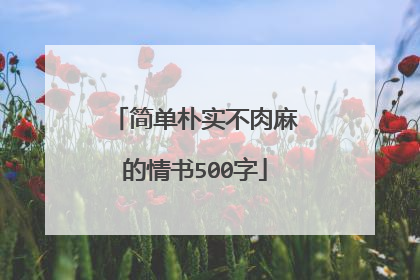 简单朴实不肉麻的情书500字
