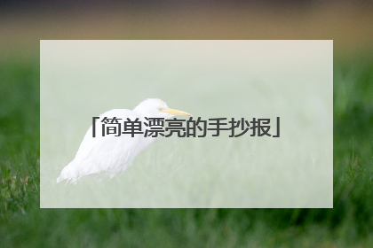 简单漂亮的手抄报