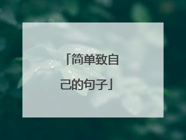 简单致自己的句子