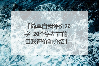 简单自我评价20字 20个字左右的自我评价和介绍