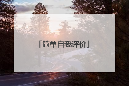 简单自我评价