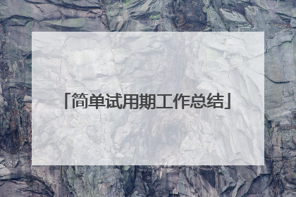 简单试用期工作总结