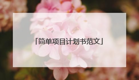 简单项目计划书范文