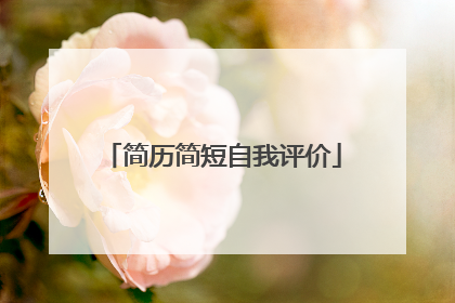 简历简短自我评价